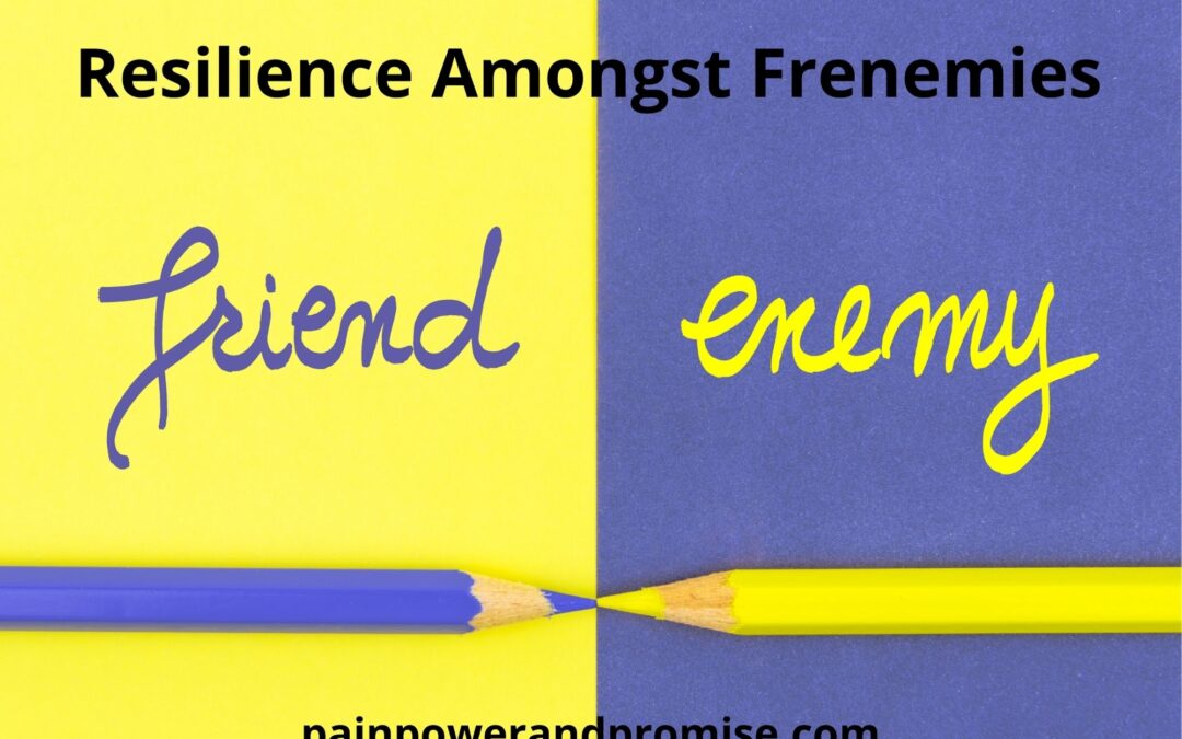 Resilience Amongst Frenemies