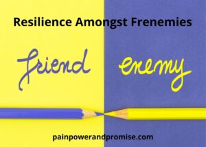 Resilience Amongst Frenemies
