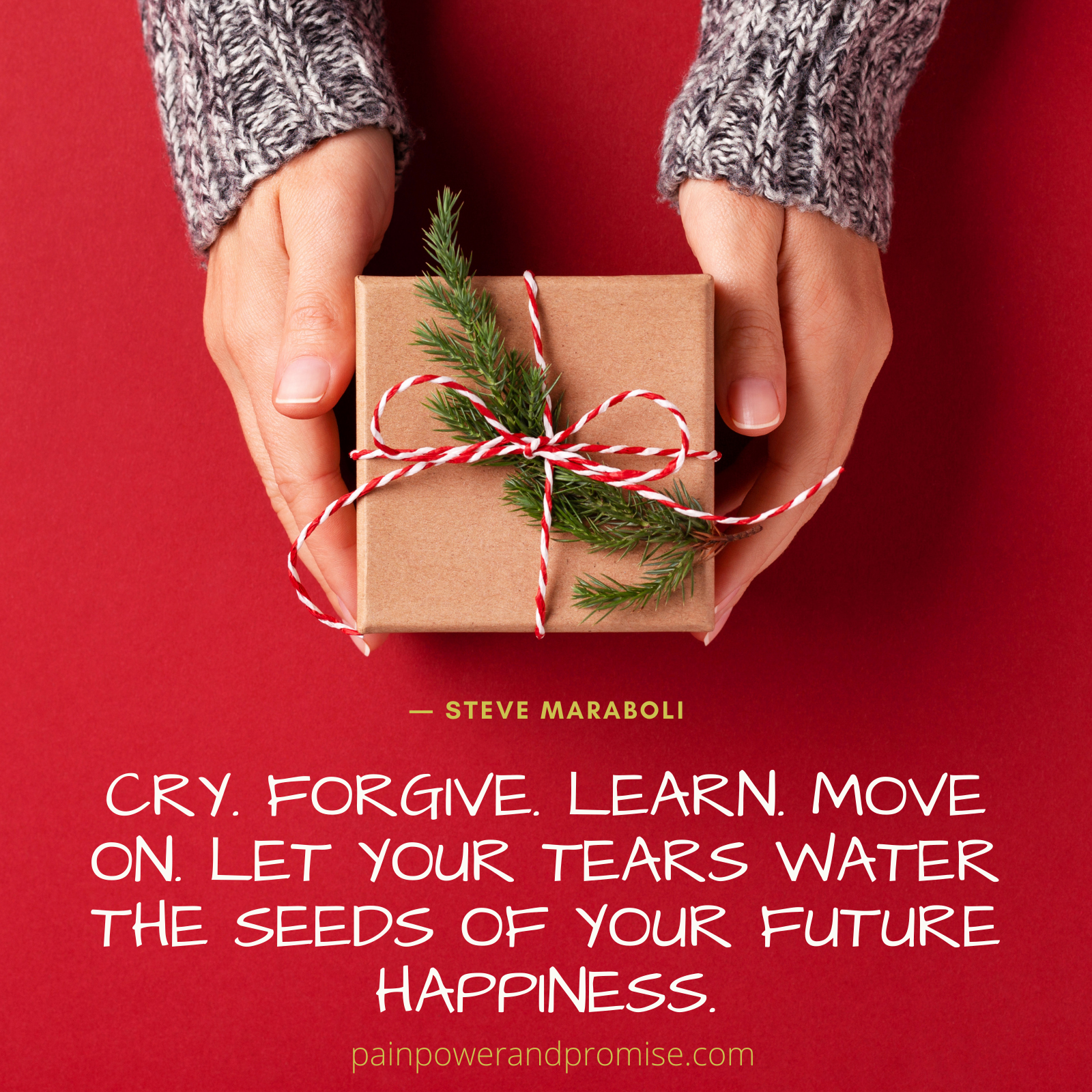 Cry. Forgive. Learn. Move on. Let your tears water the seeds of your future happiness.