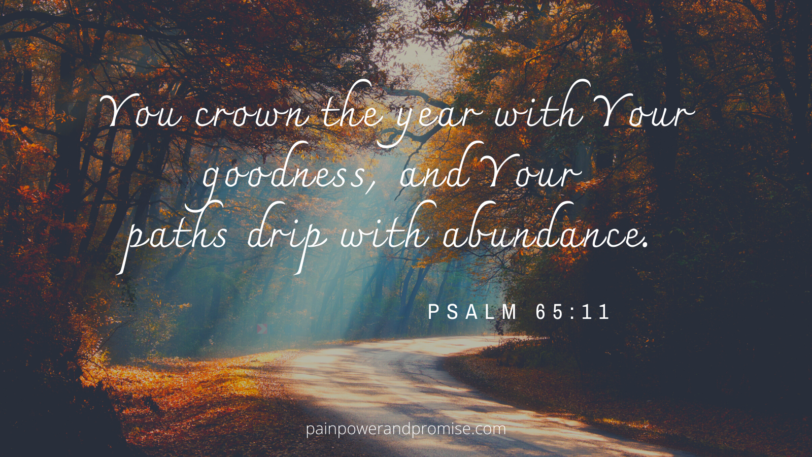 You crown the year with your goodness. And your paths drip with abundance.