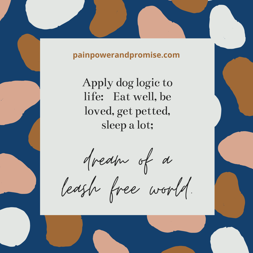 Inspirational Quote: Apply dog logic to life: Eat well, be loved, get petted, sleep a lot; Dream of a leash free world.