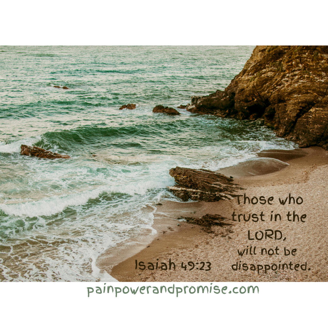 Inspirational Quote: Those who trust in the LORD, will not be disappointed.