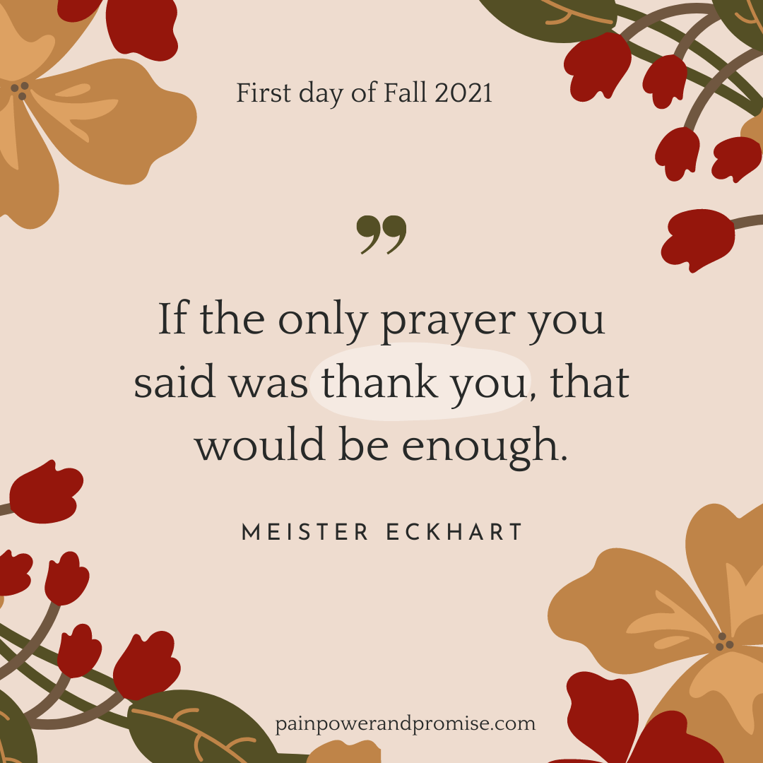 Inspirational Quote: If the only prayer you said was THANK YOU, that would be enough.