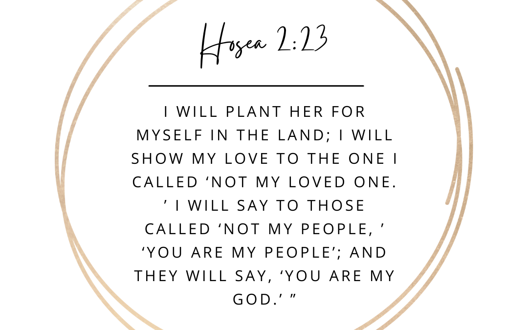 Your Daily Dose of Resilience for July 6, 2022