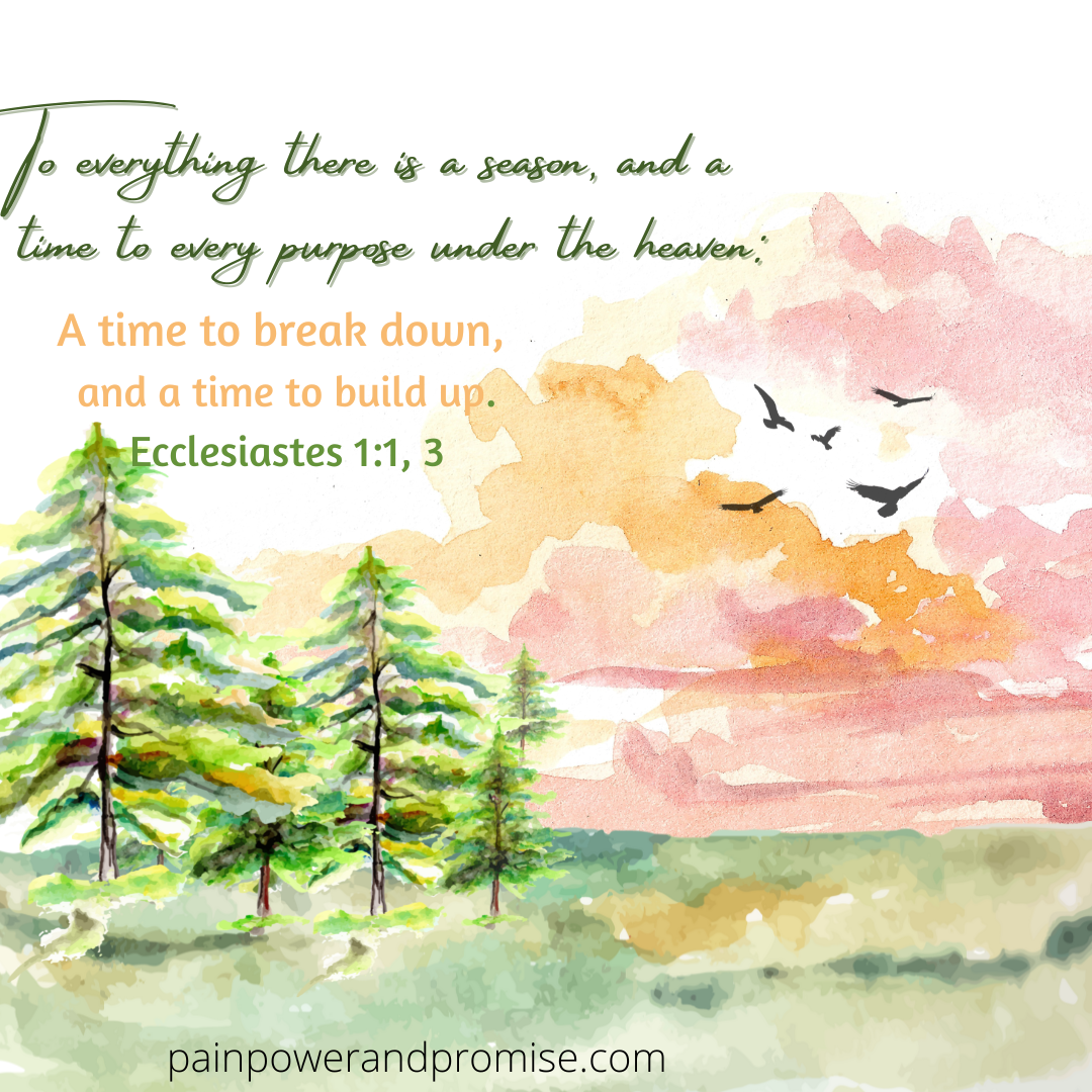 Scripture Inspiration: To everything there is a season, and a time to every purpose under the heaven.