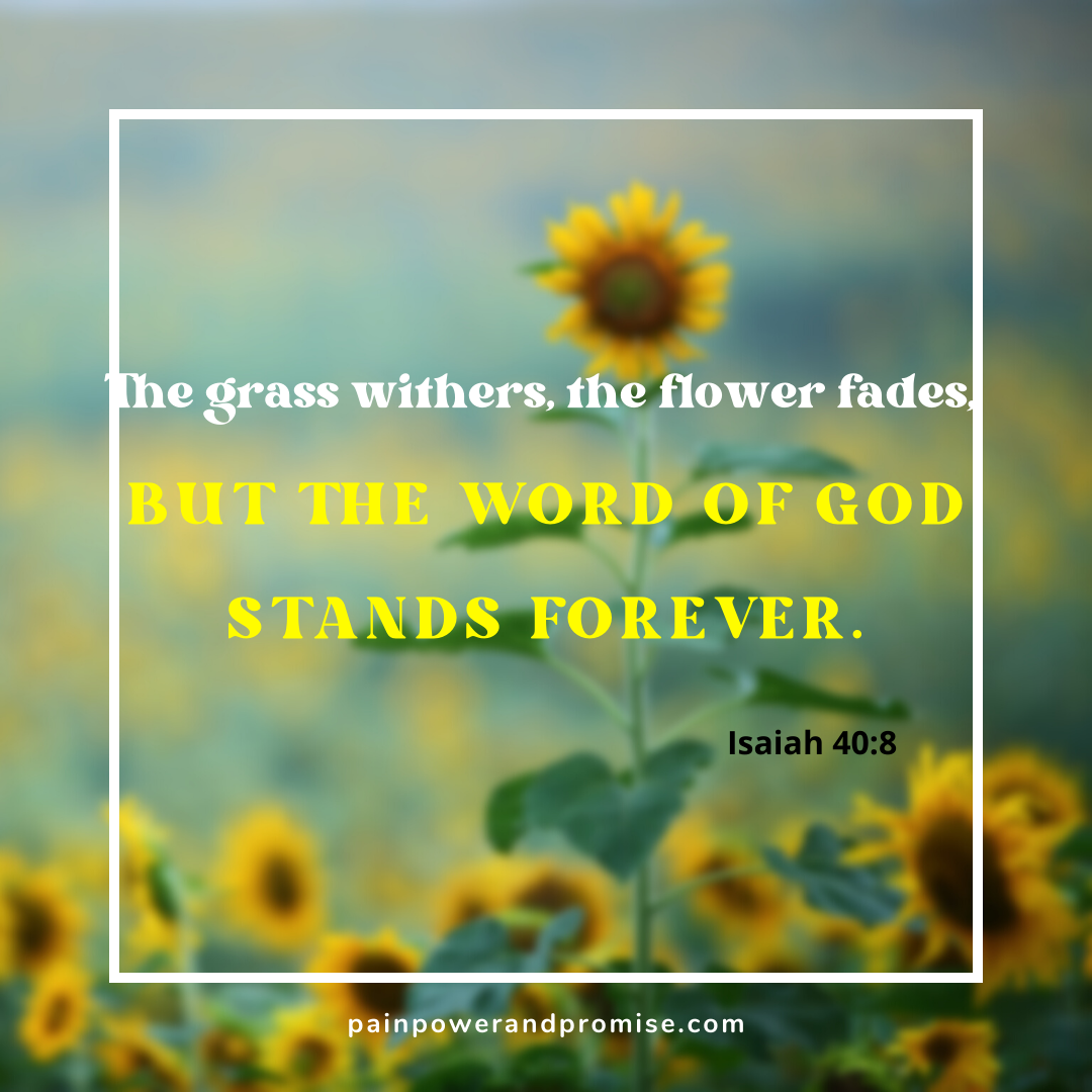 Inspirational Scripture: The grass withers, the flower fades, but the Word of God stands forever.