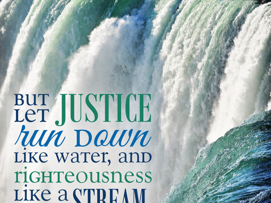 Your Daily Dose of Resilience for December 2, 2020